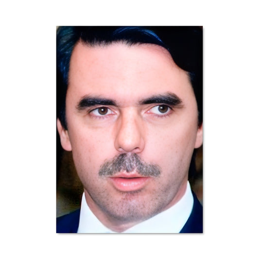 Poster Le Charme d'Aznar