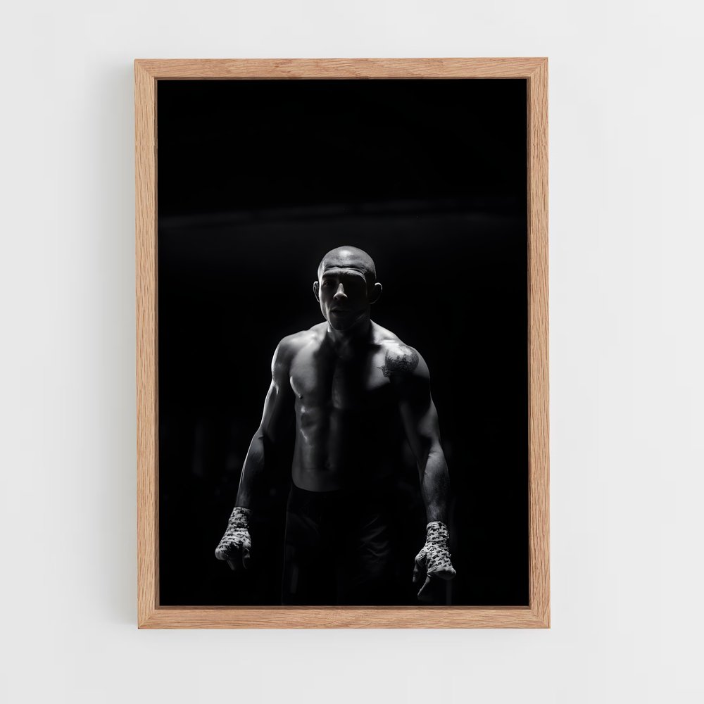 ap-jose aldo-3 cadre Bois clair