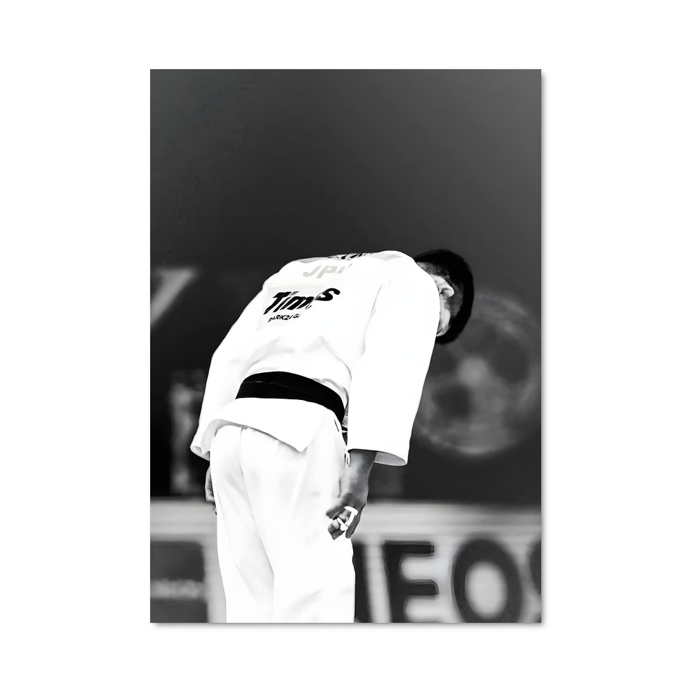 Poster Judo sur le Diamant