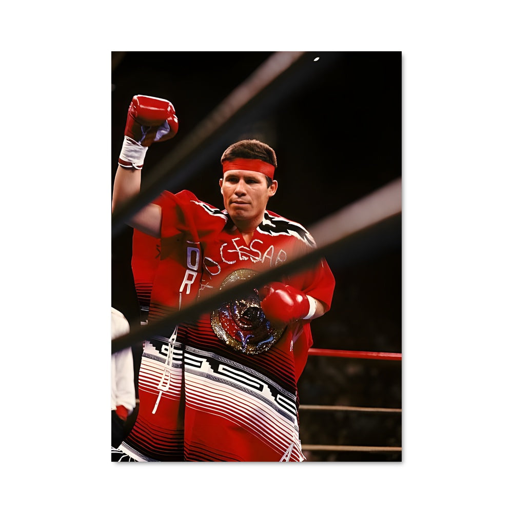 Poster L'Héritage de Chavez