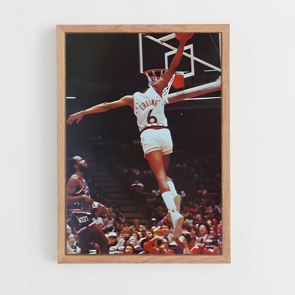 ap-julius erving-11 cadre Bois clair