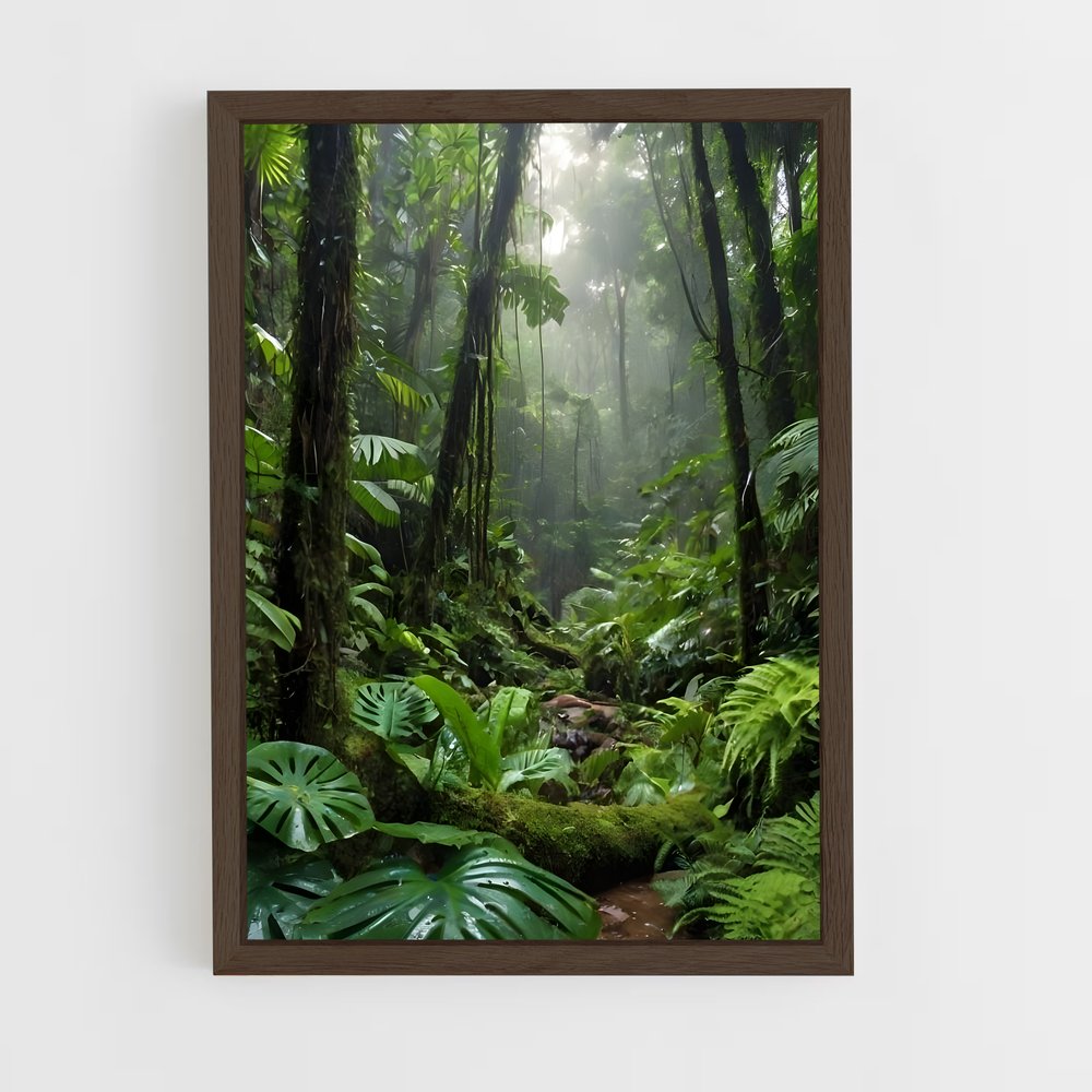 ap-jungle-5 cadre Bois foncé