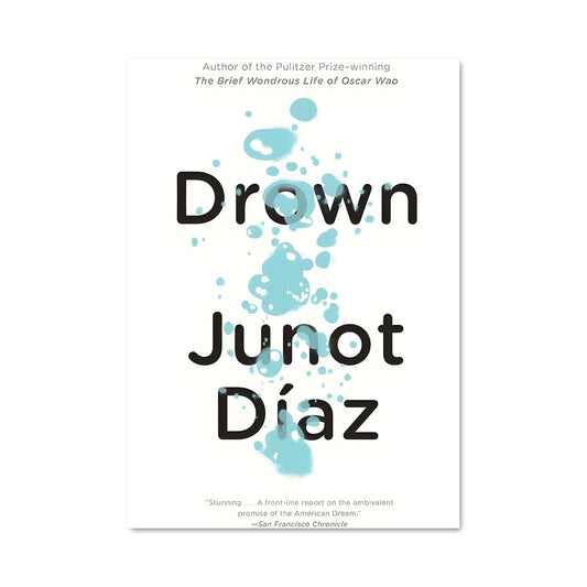 Poster Le Voyage de Junot