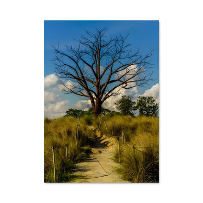 Poster L'Arbre Silencieux
