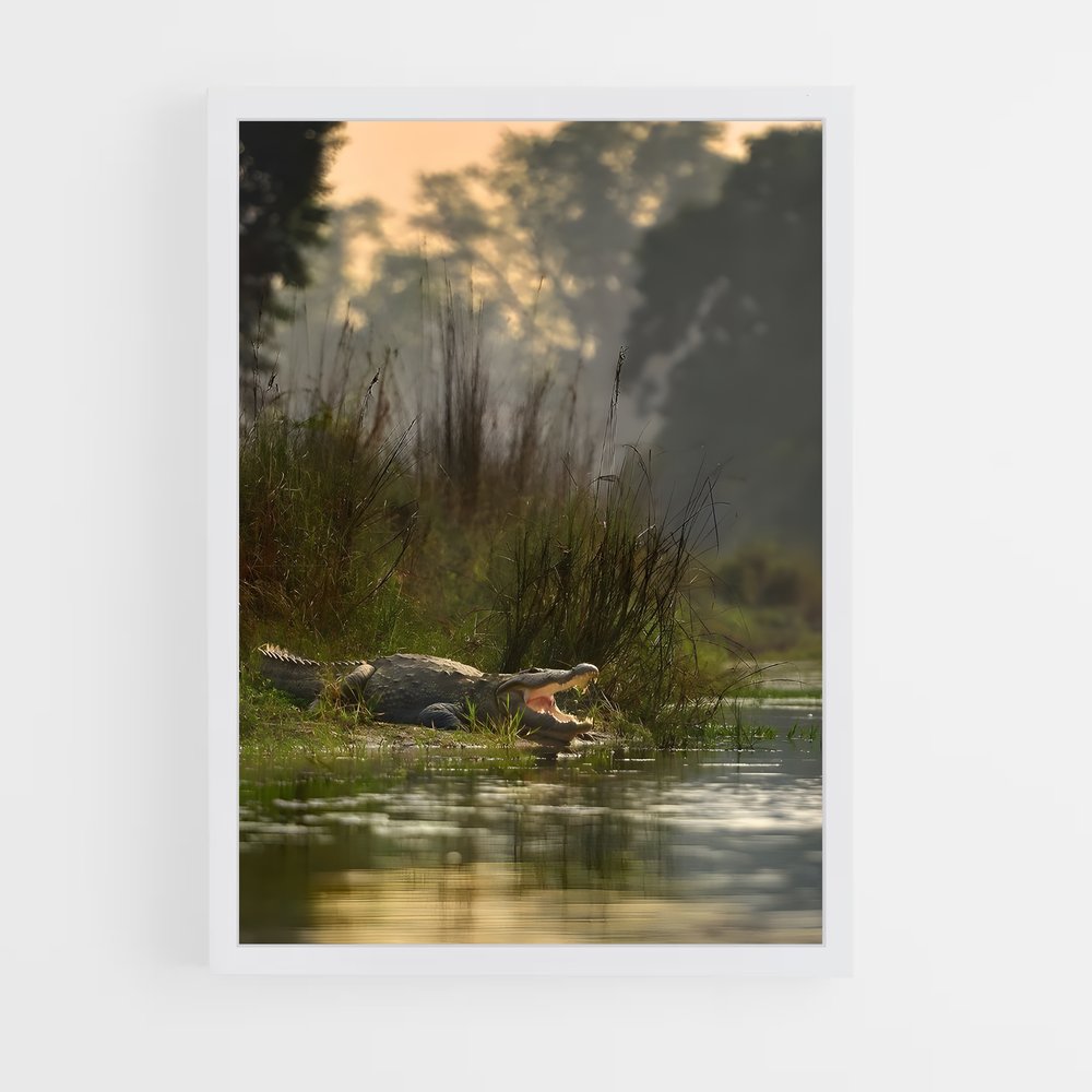 ap-kachikally crocodile pool-4 cadre Blanc