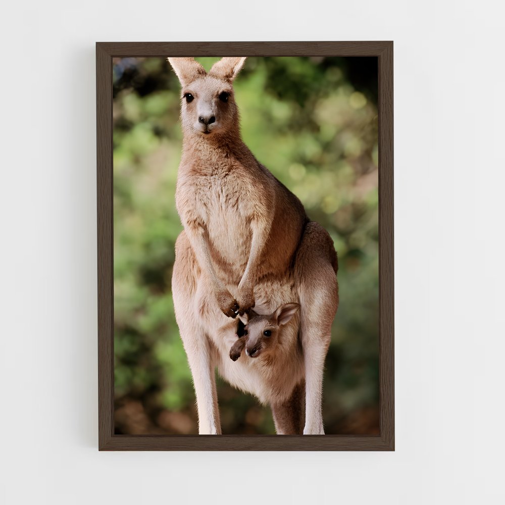 ap-kangaroo-2 cadre Bois foncé