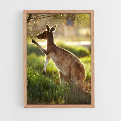 ap-kangaroo-6 cadre Bois clair