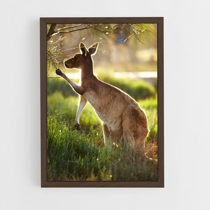 ap-kangaroo-6 cadre Bois foncé
