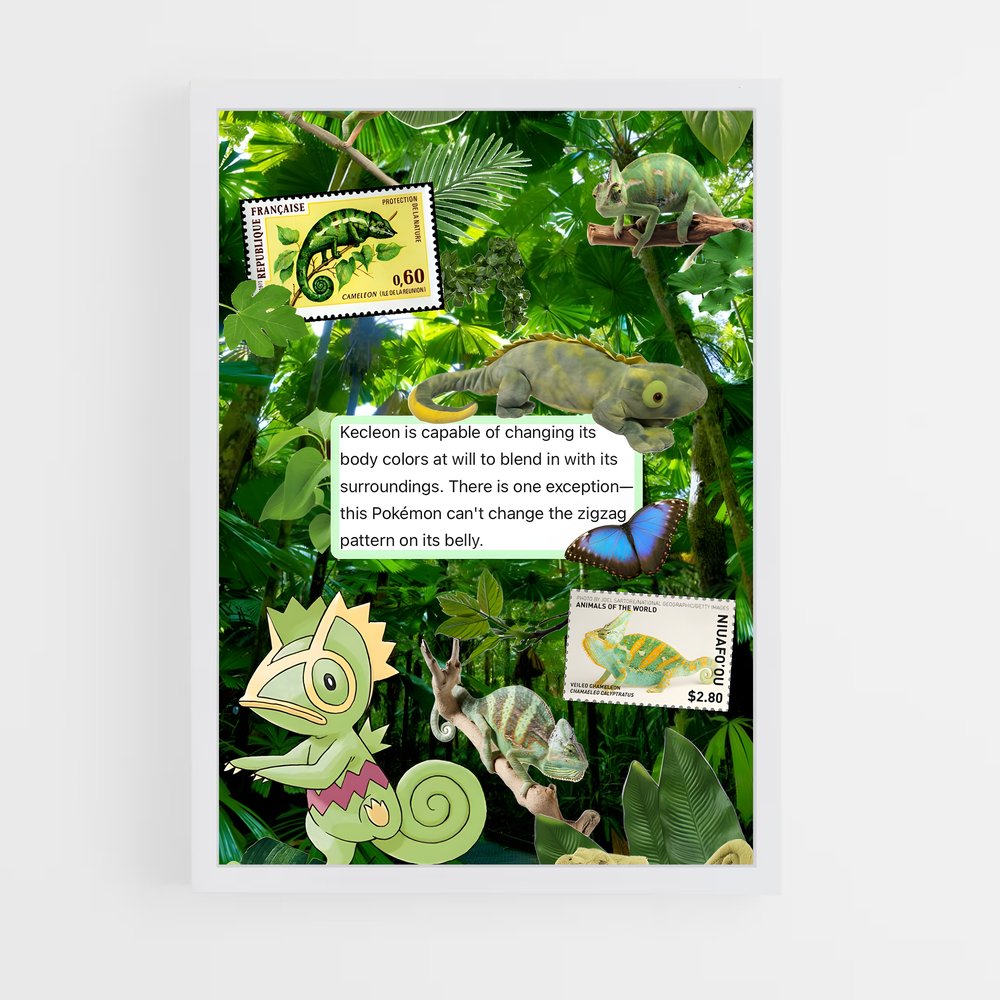 ap-kecleon-2 cadre Blanc