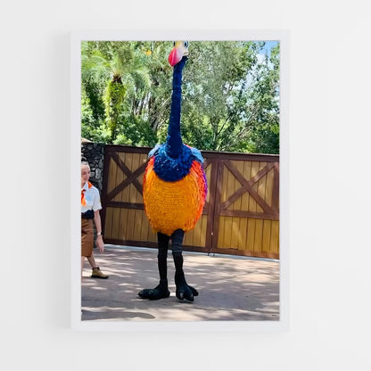ap-kevin-8 cadre Blanc