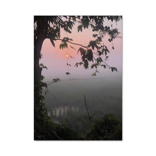 Poster Crépuscule Envoûtant