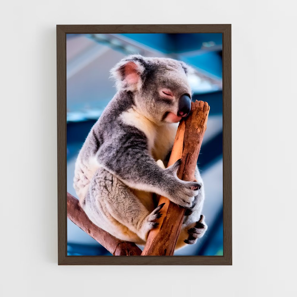 ap-koala-5 cadre Bois foncé