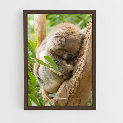 ap-koala-6 cadre Bois foncé