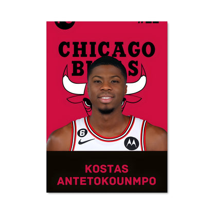 Poster Bulls en Force