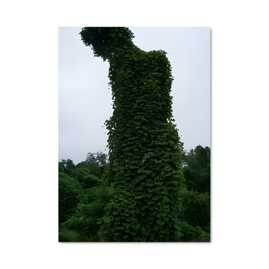 Poster La Route Verdoyante