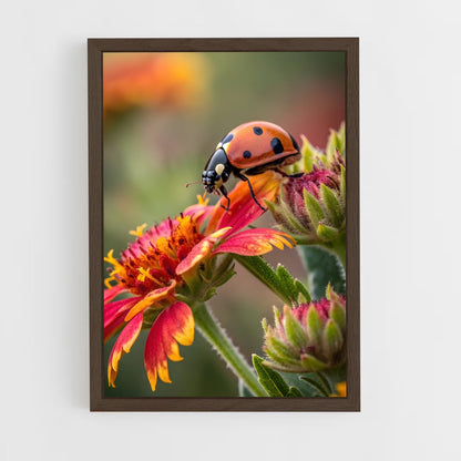 ap-ladybug-10 cadre Bois foncé