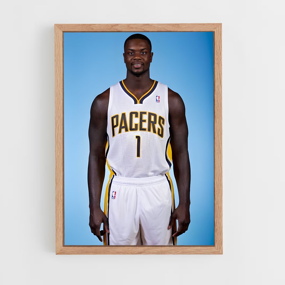 ap-lance stephenson-1 cadre Bois clair