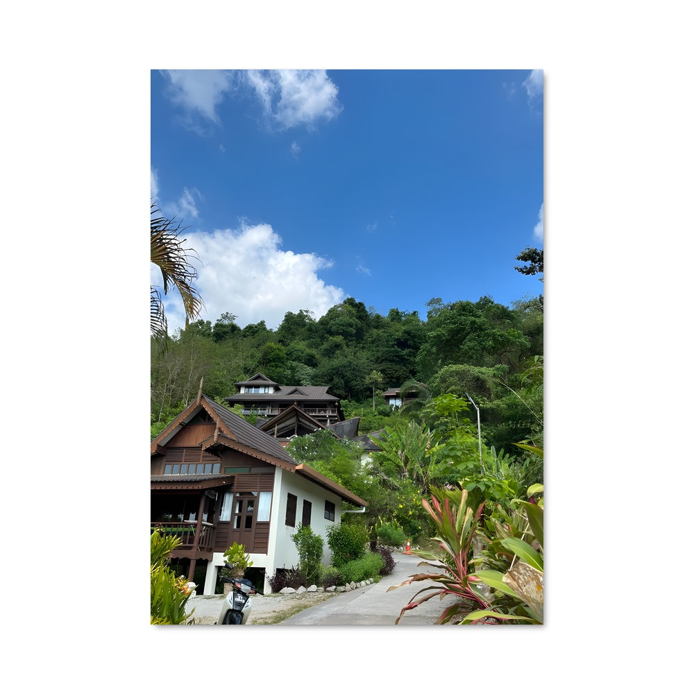 Poster Évasion Jungle