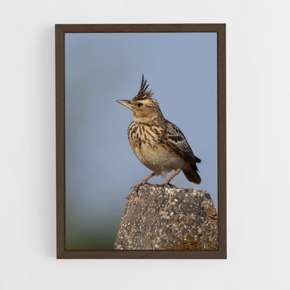 ap-lark-2 cadre Bois foncé
