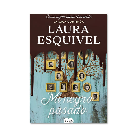 Poster La Casa de la Vida