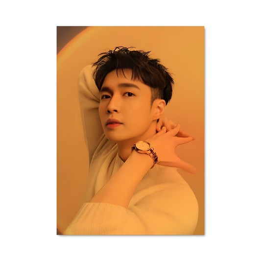 Poster Lay 48274
