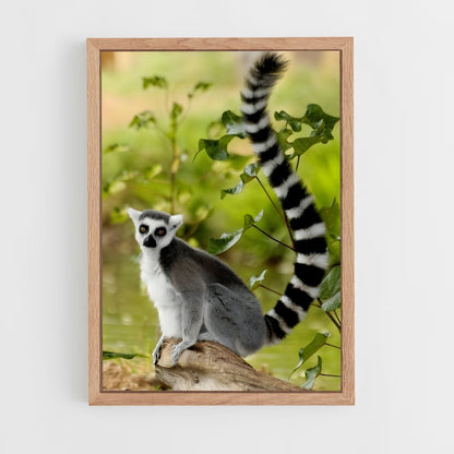 ap-lemur-1 cadre Bois clair