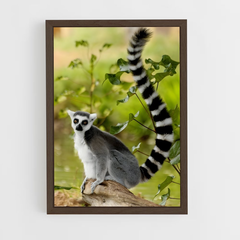 ap-lemur-1 cadre Bois foncé