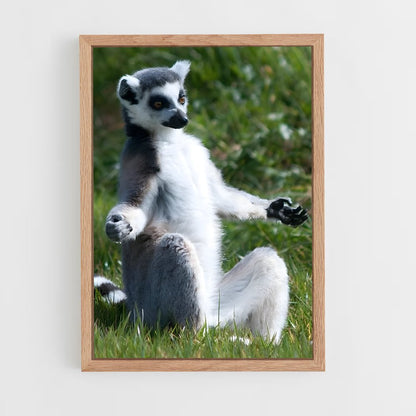 ap-lemur-8 cadre Bois clair