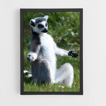 ap-lemur-8 cadre Noir