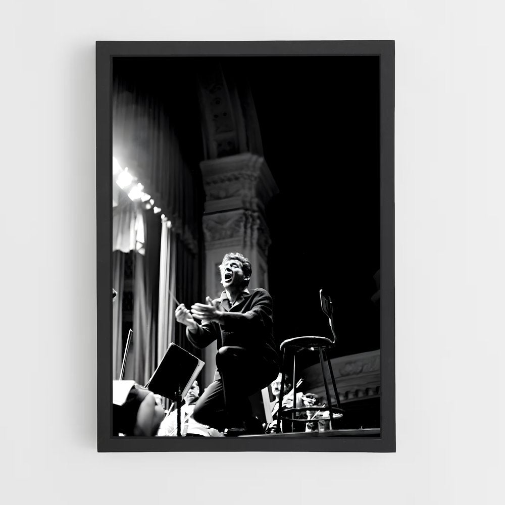 ap-leonard bernstein-3 cadre Noir