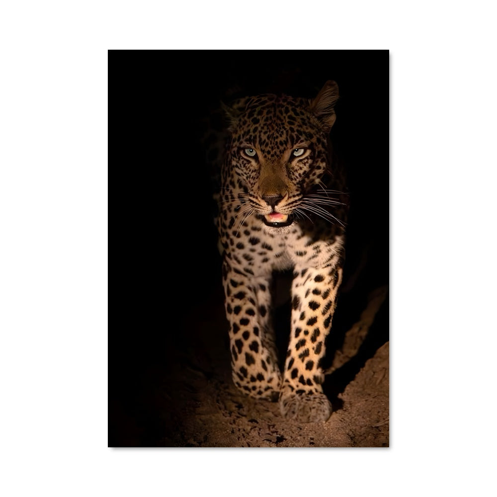 Poster Ombres du Léopard