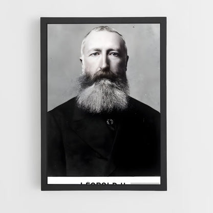ap-leopold ii-5 cadre Noir
