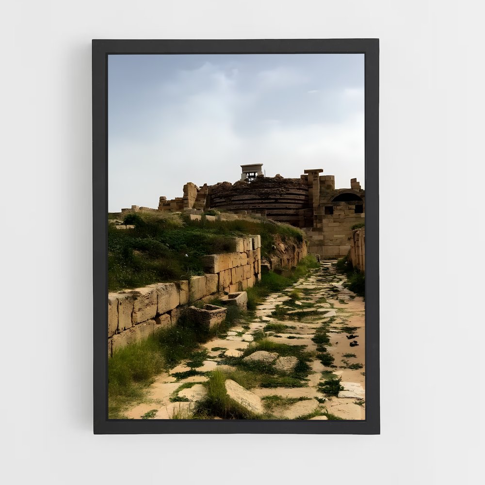 ap-leptis magna-3 cadre Noir
