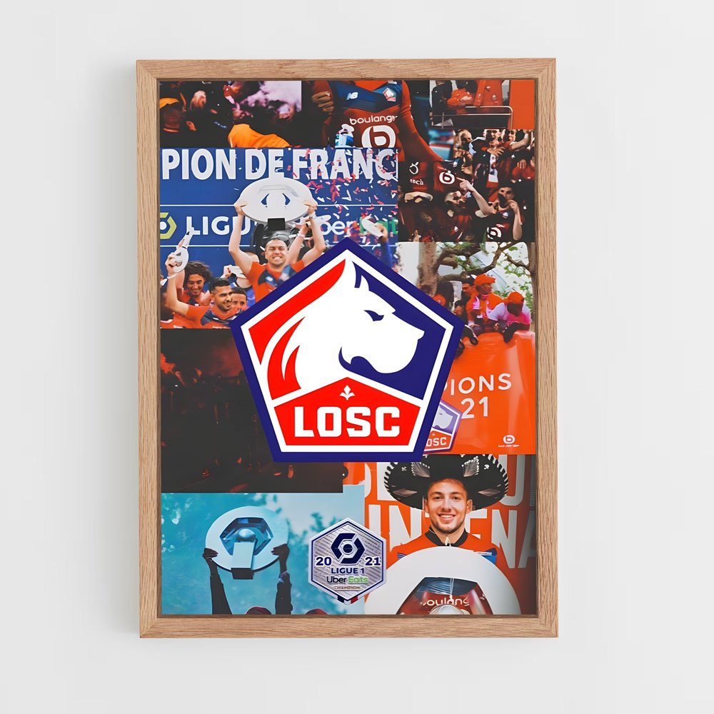 ap-lille osc-10 cadre Bois clair
