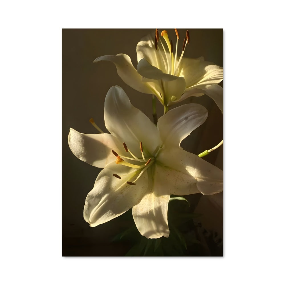 Poster L'Élégance des Lys