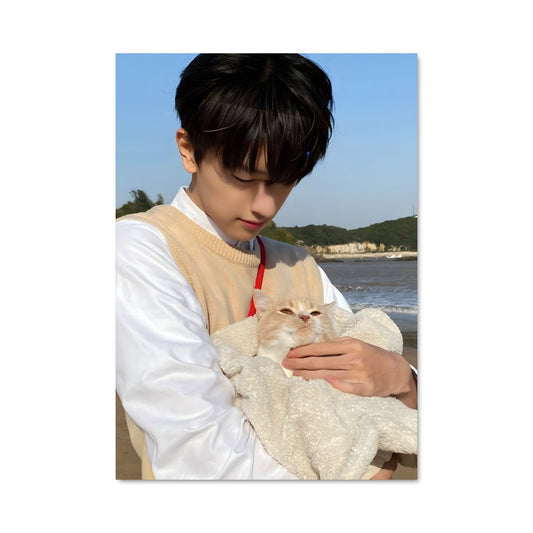 Poster Plage et Pattes