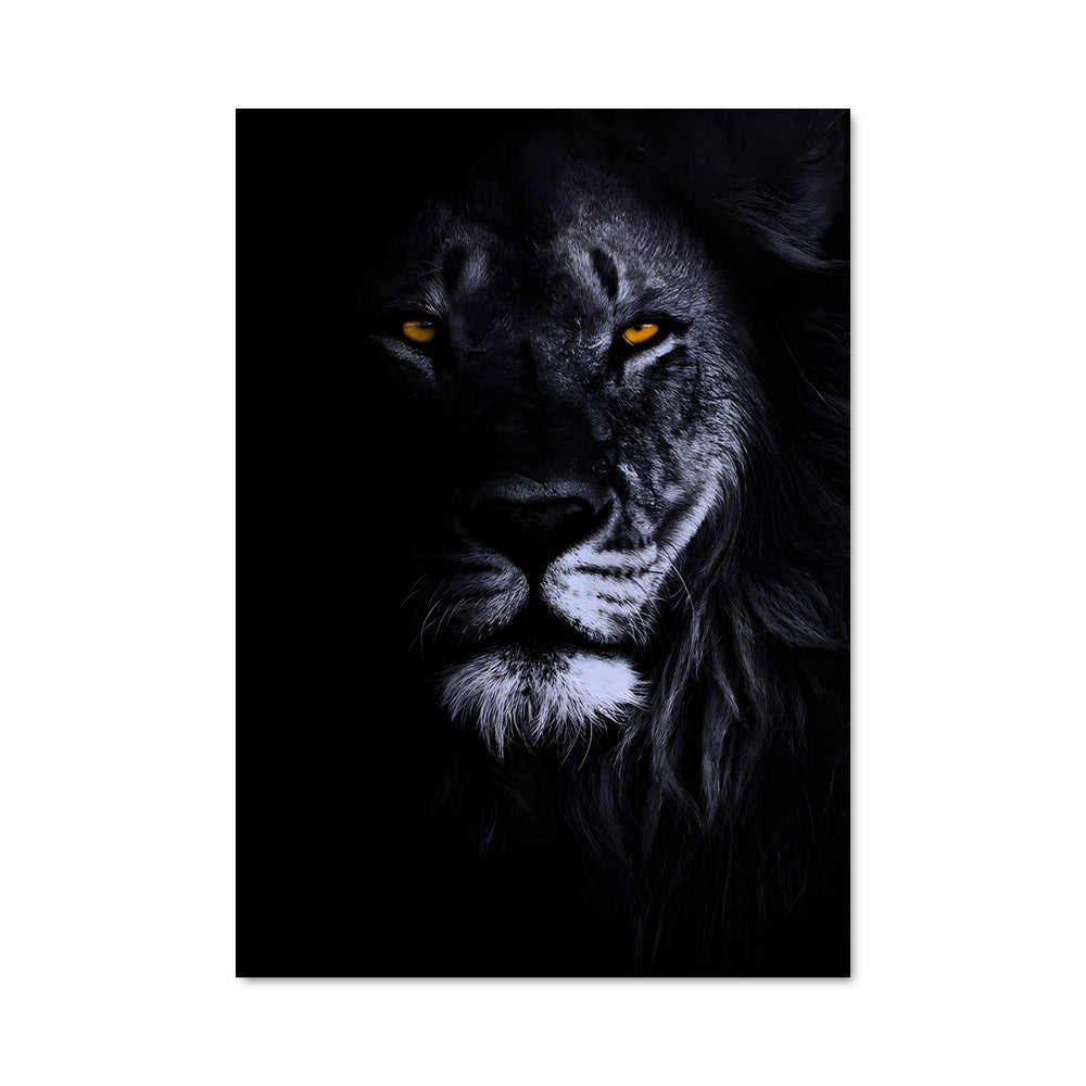 Poster Regard de Fauve