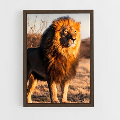 ap-lion-3 cadre Bois foncé
