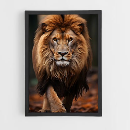 ap-lion-4 cadre Noir
