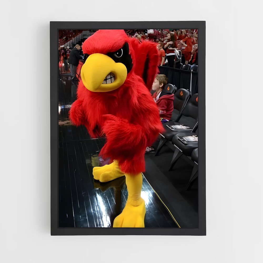 ap-louisville cardinals-1 cadre Noir