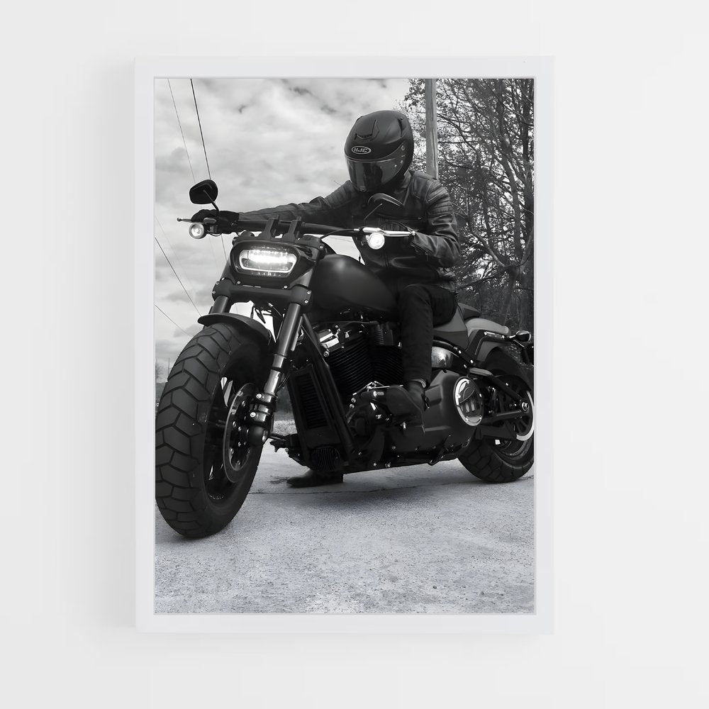 ap-low rider s-3 cadre Blanc