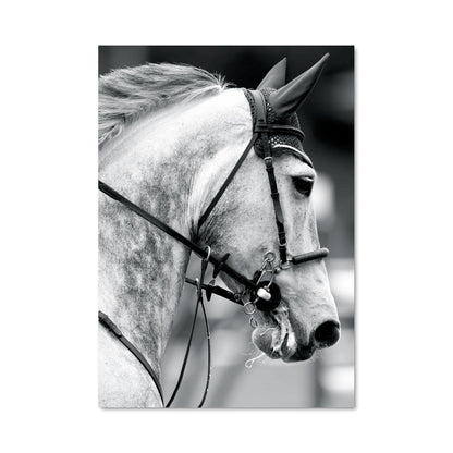 Poster Cheval de Course