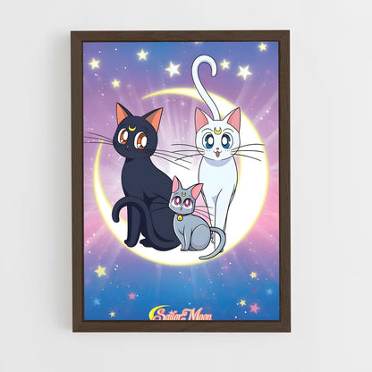 ap-luna sailor moon-1 cadre Bois foncé