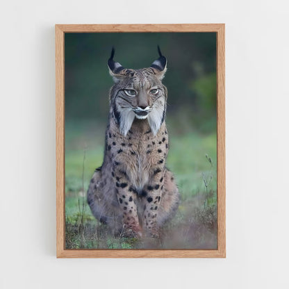 ap-lynx-1 cadre Bois clair