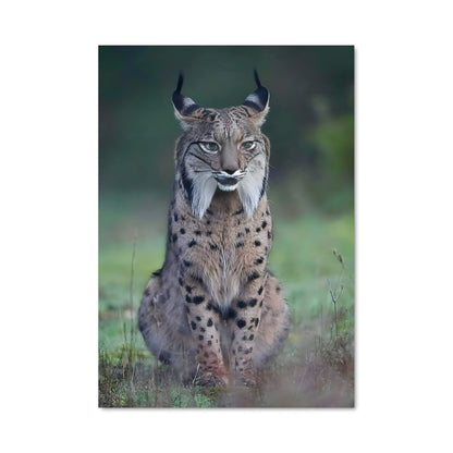 Poster Lynx 83940
