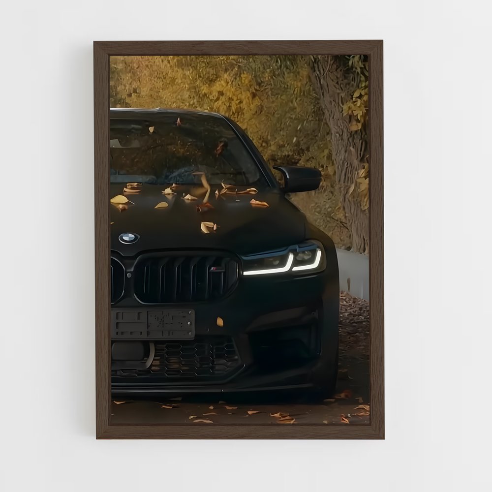 ap-m5 competition-4 cadre Bois foncé