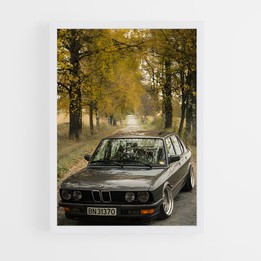 ap-m5 e28-1 cadre Blanc