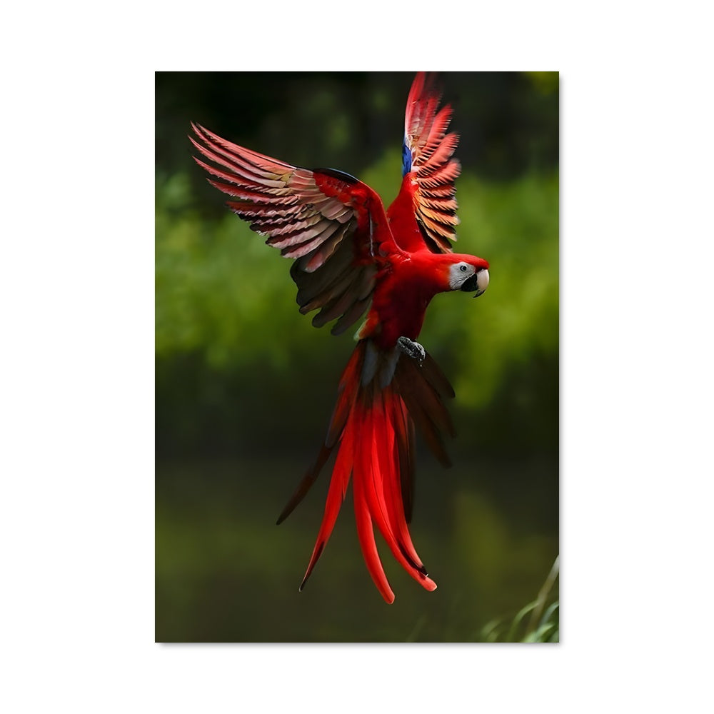 Poster Le Parfait Vol