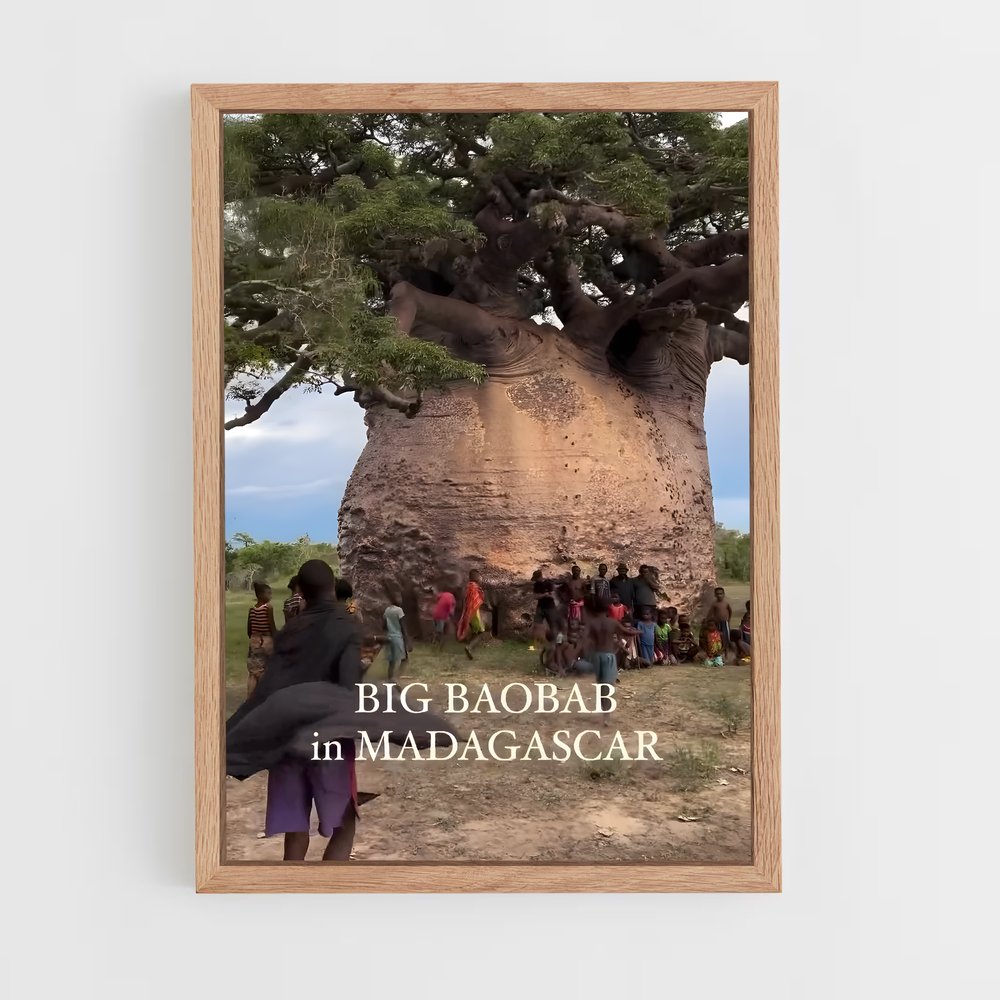 ap-madagascar-12 cadre Bois clair