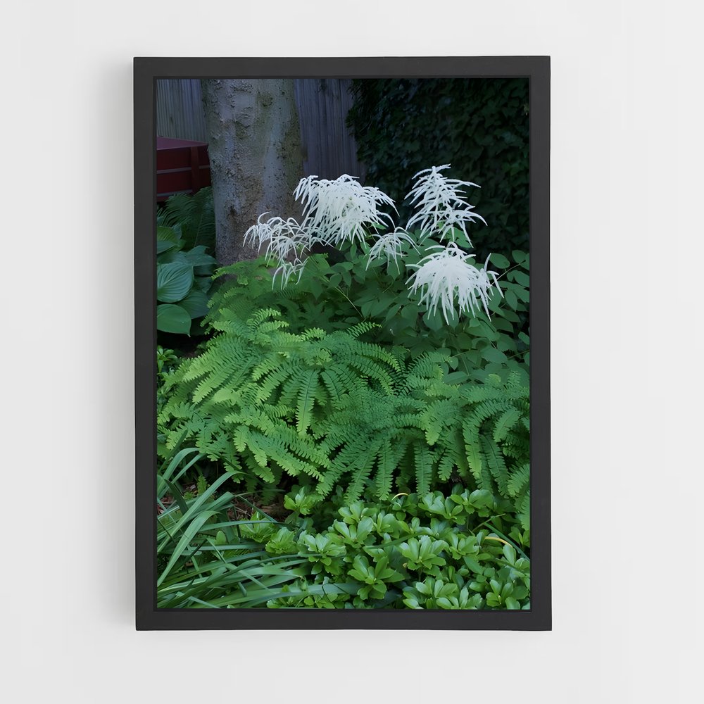 ap-maidenhair fern-4 cadre Noir